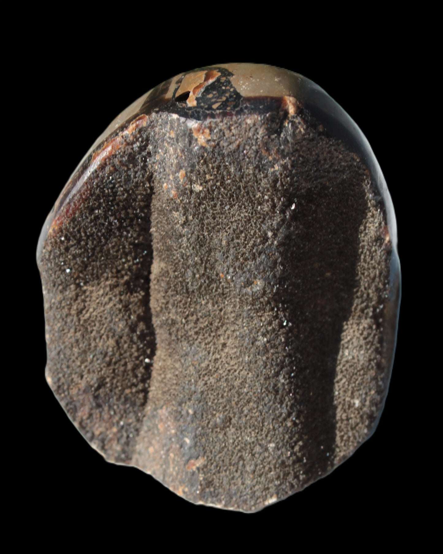 Septarian Dragon Stone egg 330g Rocks and Things