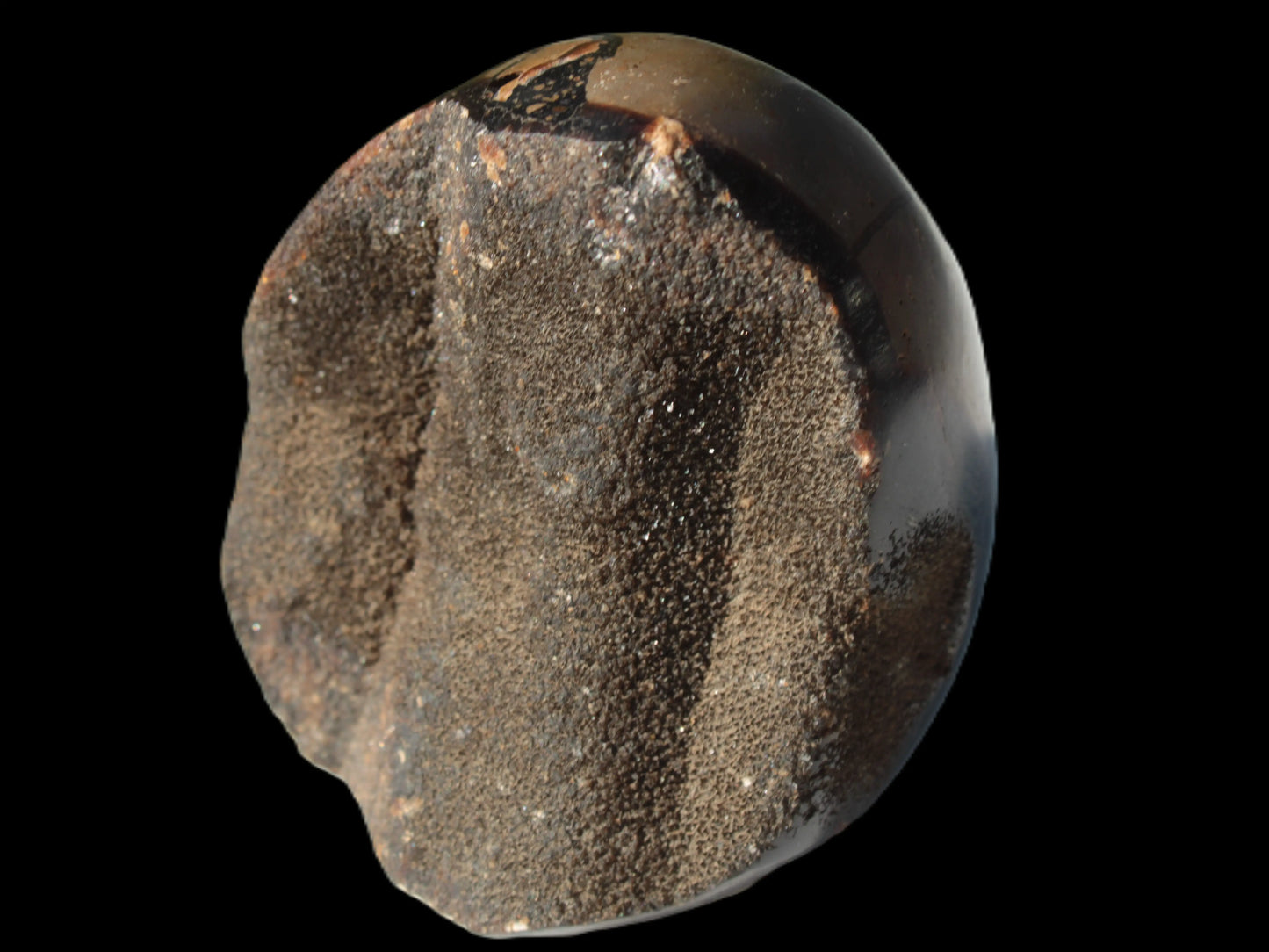 Septarian Dragon Stone egg 330g Rocks and Things