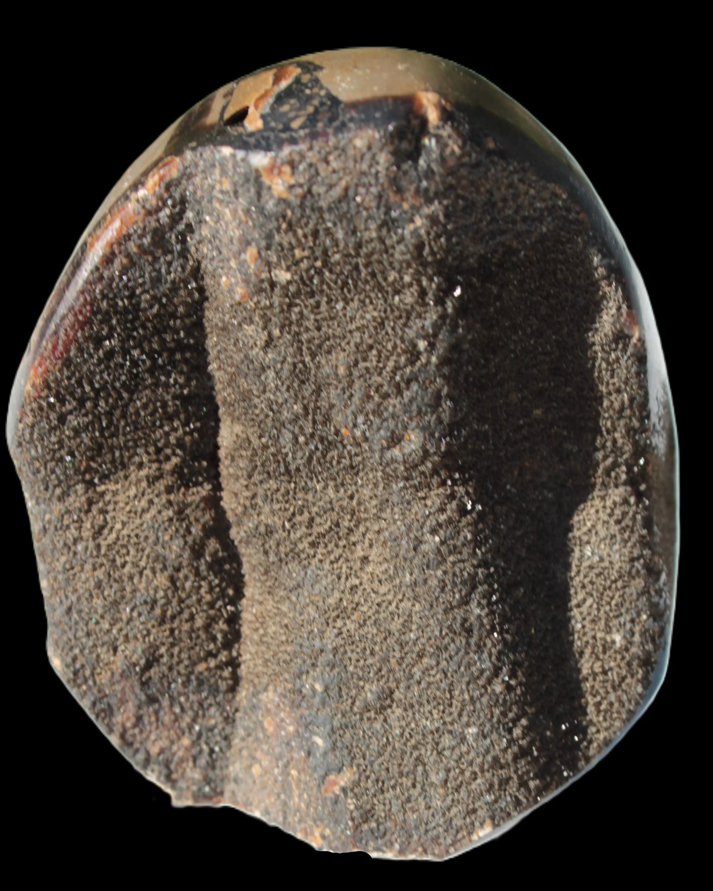 Septarian Dragon Stone egg 330g Rocks and Things