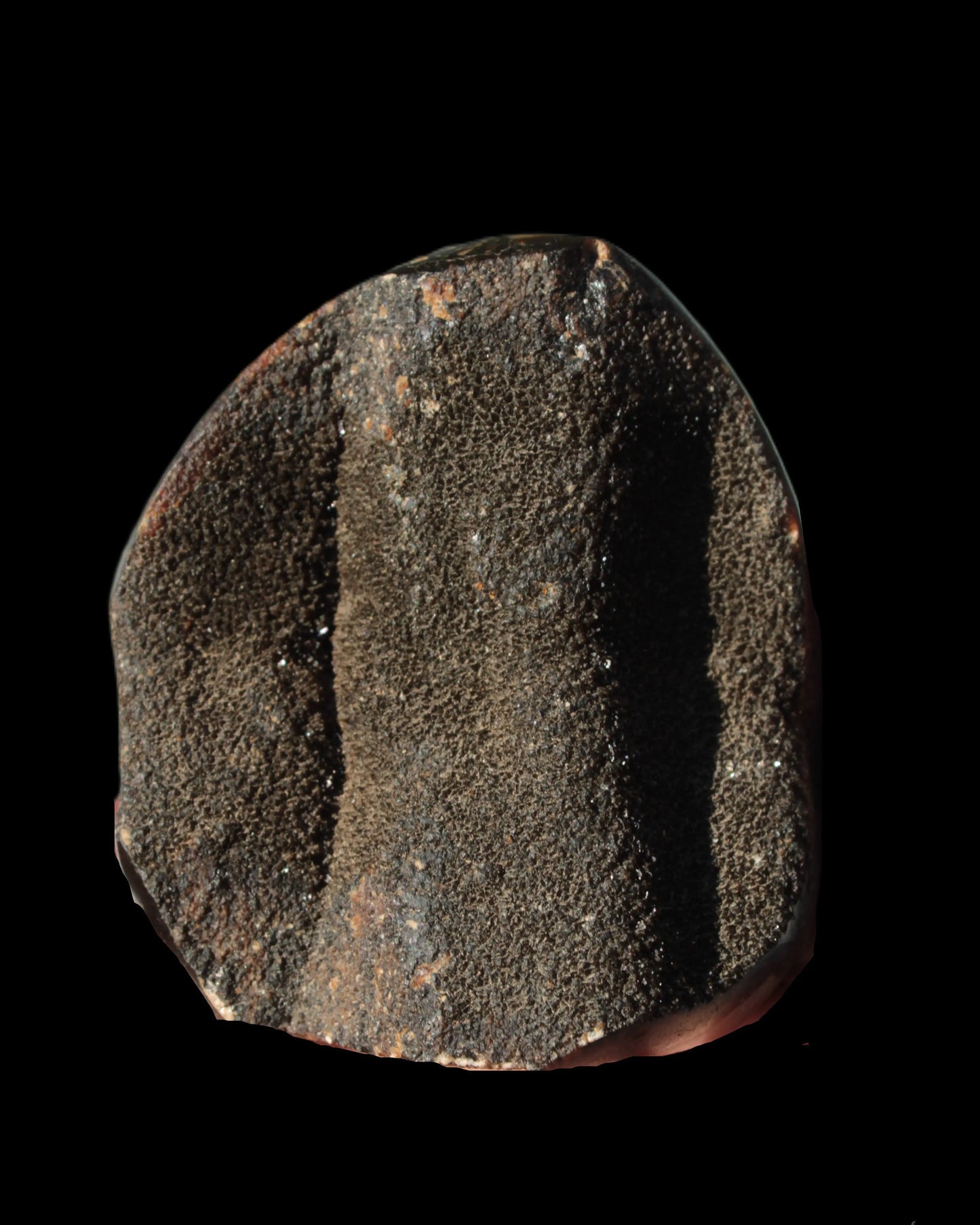 Septarian Dragon Stone egg 330g Rocks and Things