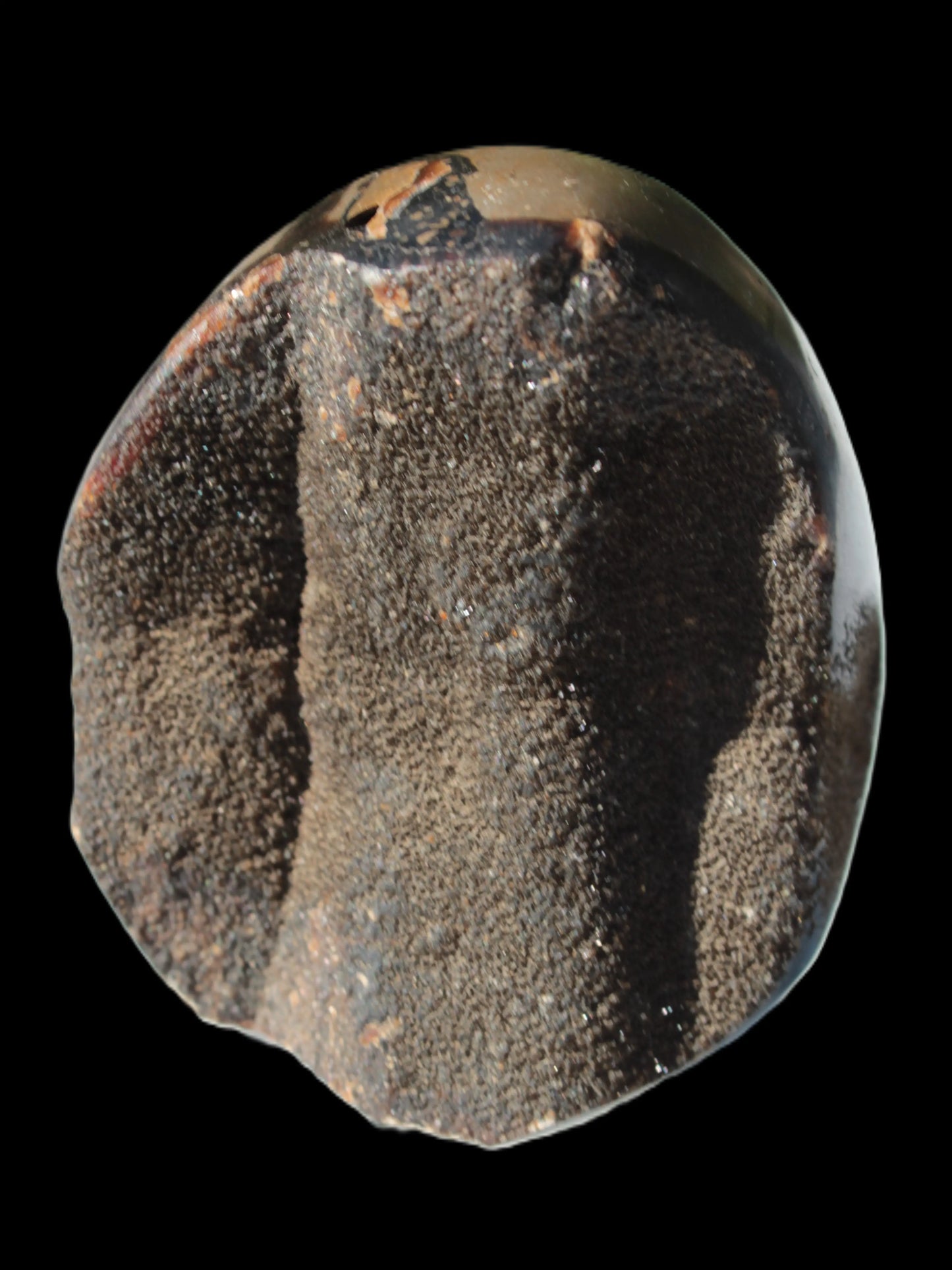 Septarian Dragon Stone egg 330g Rocks and Things