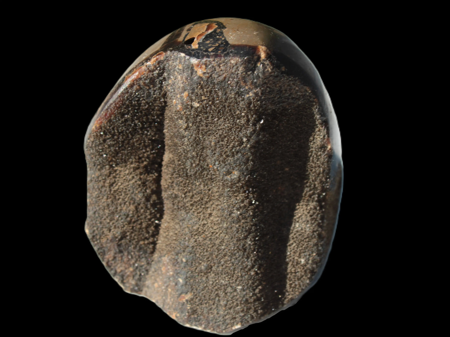Septarian Dragon Stone egg 330g Rocks and Things