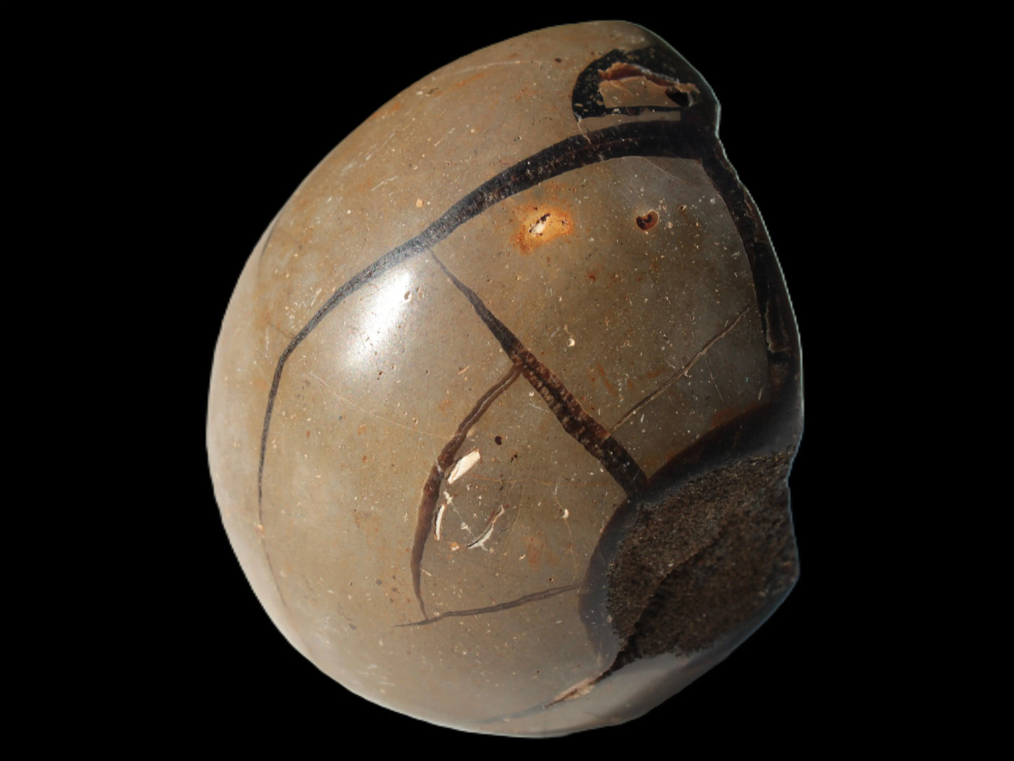 Septarian Dragon Stone egg 330g Rocks and Things