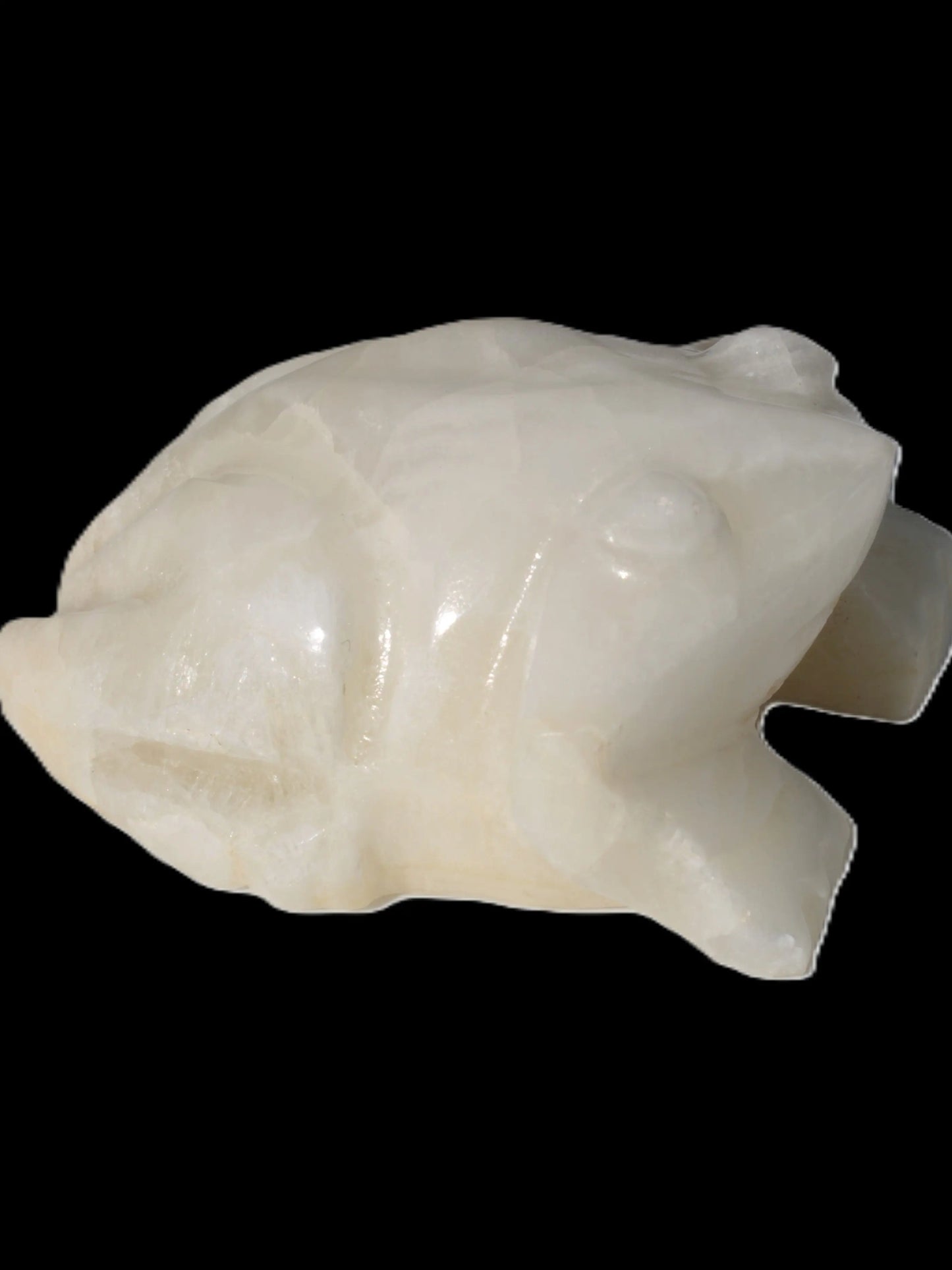 White Calcite hand-carved Frog 243g Rocks and Things