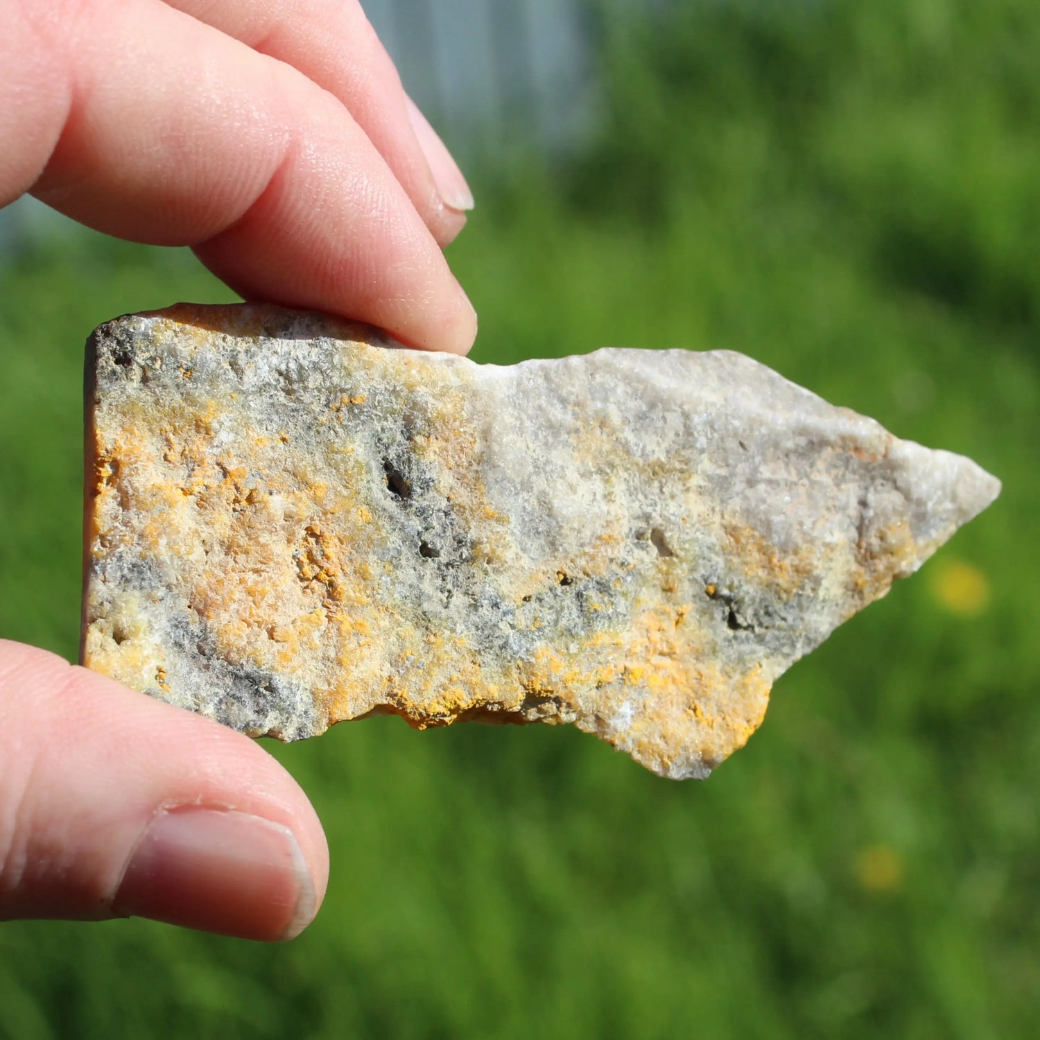 Bumblebee Jasper Rocks and Things