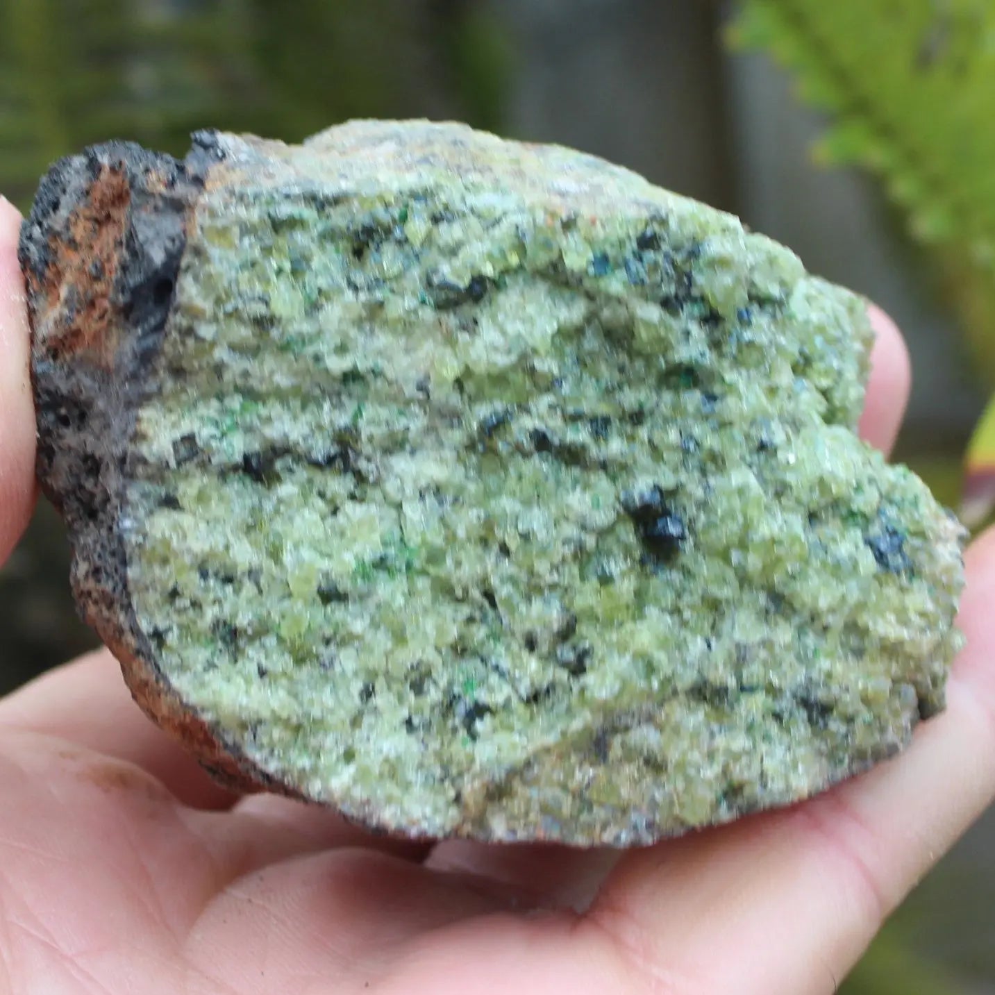 Olivine Rocks and Things