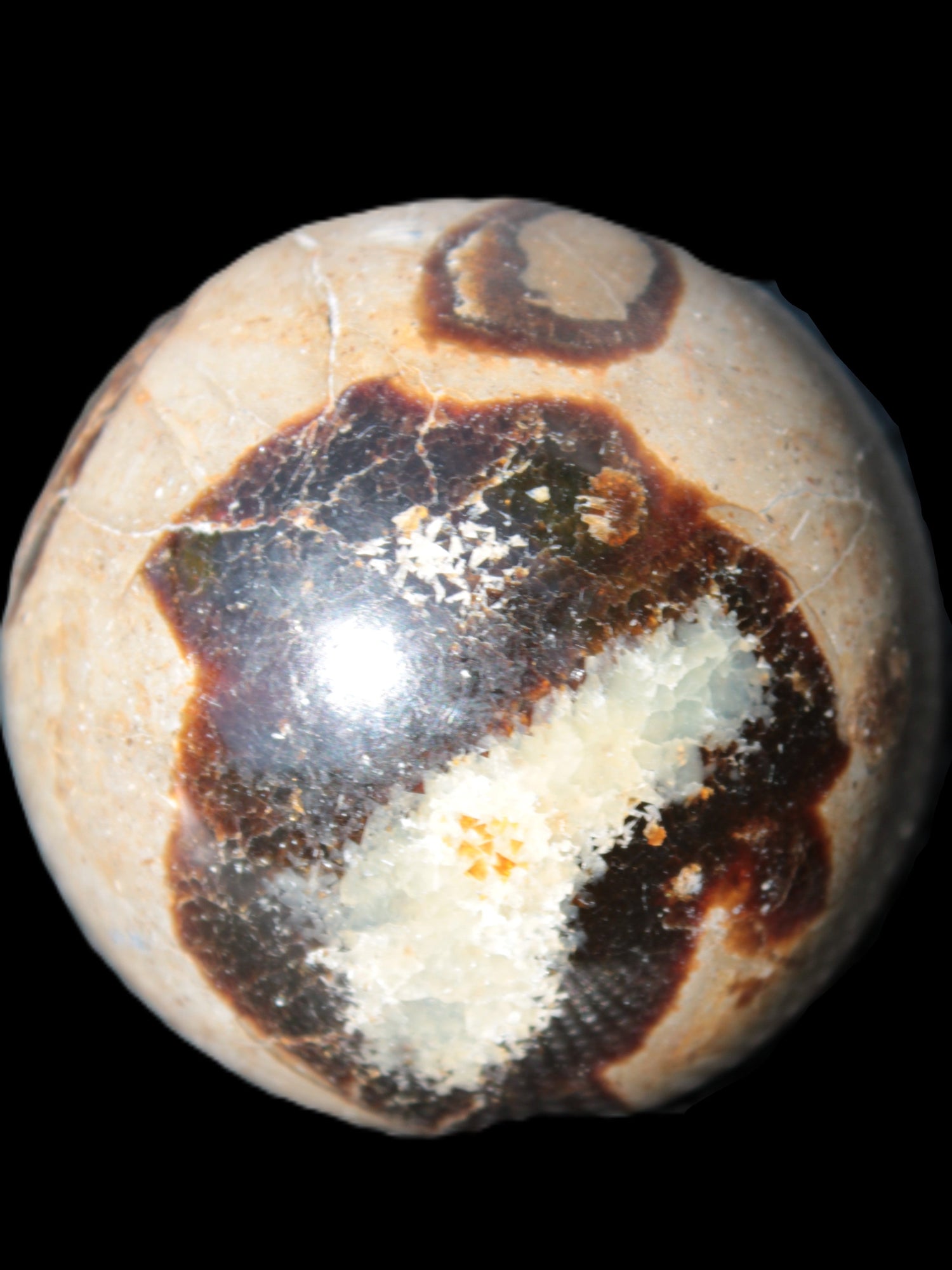 Septarian Dragon Stone Rocks and Things