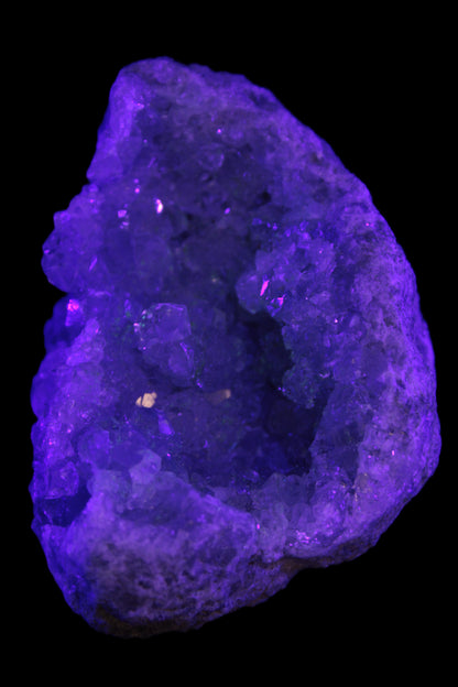 Celestite cluster 446g in UV light