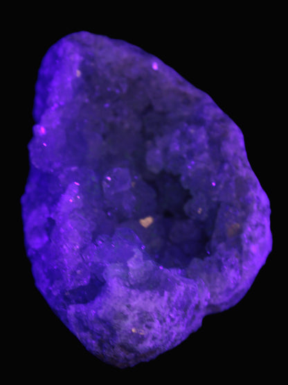 Celestite cluster 446g in UV light