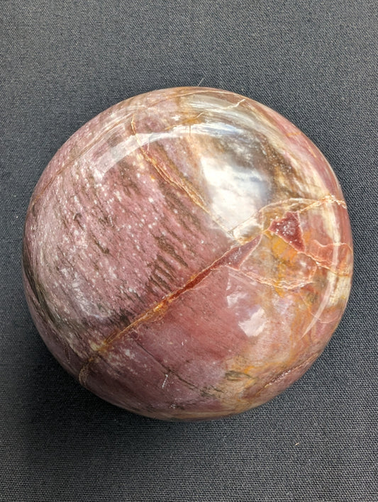 Petrified Wood Redwood sphere 69mm 462g Rocks and Things