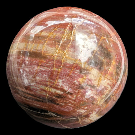 Petrified Wood Redwood sphere 69mm 462g in sunlight - Rocks and Things Store