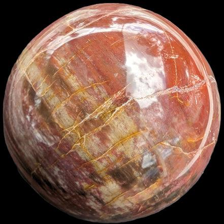 Petrified Wood Redwood sphere 69mm 462g in sunlight - Rocks and Things Store