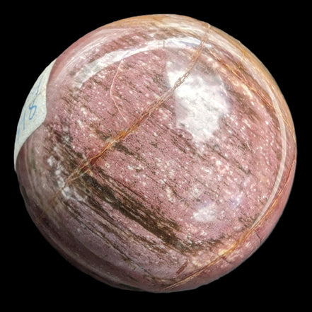 Petrified Wood Redwood sphere 69mm 462g in sunlight - Rocks and Things Store
