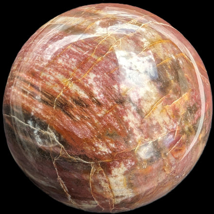 Petrified Wood Redwood sphere 69mm 462g in sunlight - Rocks and Things Store