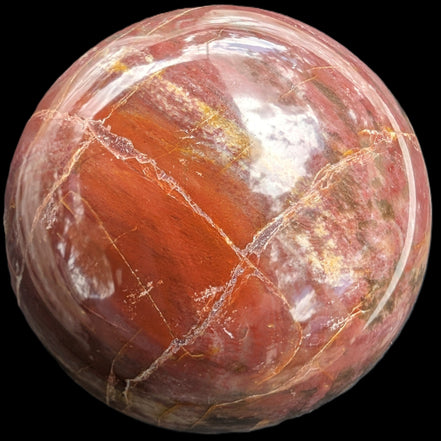 Petrified Wood Redwood sphere 69mm 462g in sunlight - Rocks and Things Store