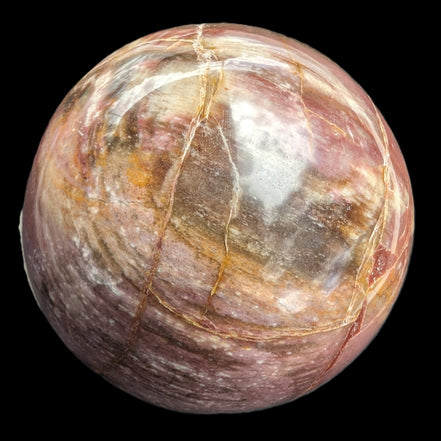 Petrified Wood Redwood sphere 69mm 462g in sunlight - Rocks and Things Store