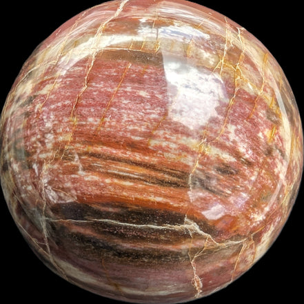 Petrified Wood Redwood sphere 69mm 462g in sunlight - Rocks and Things Store