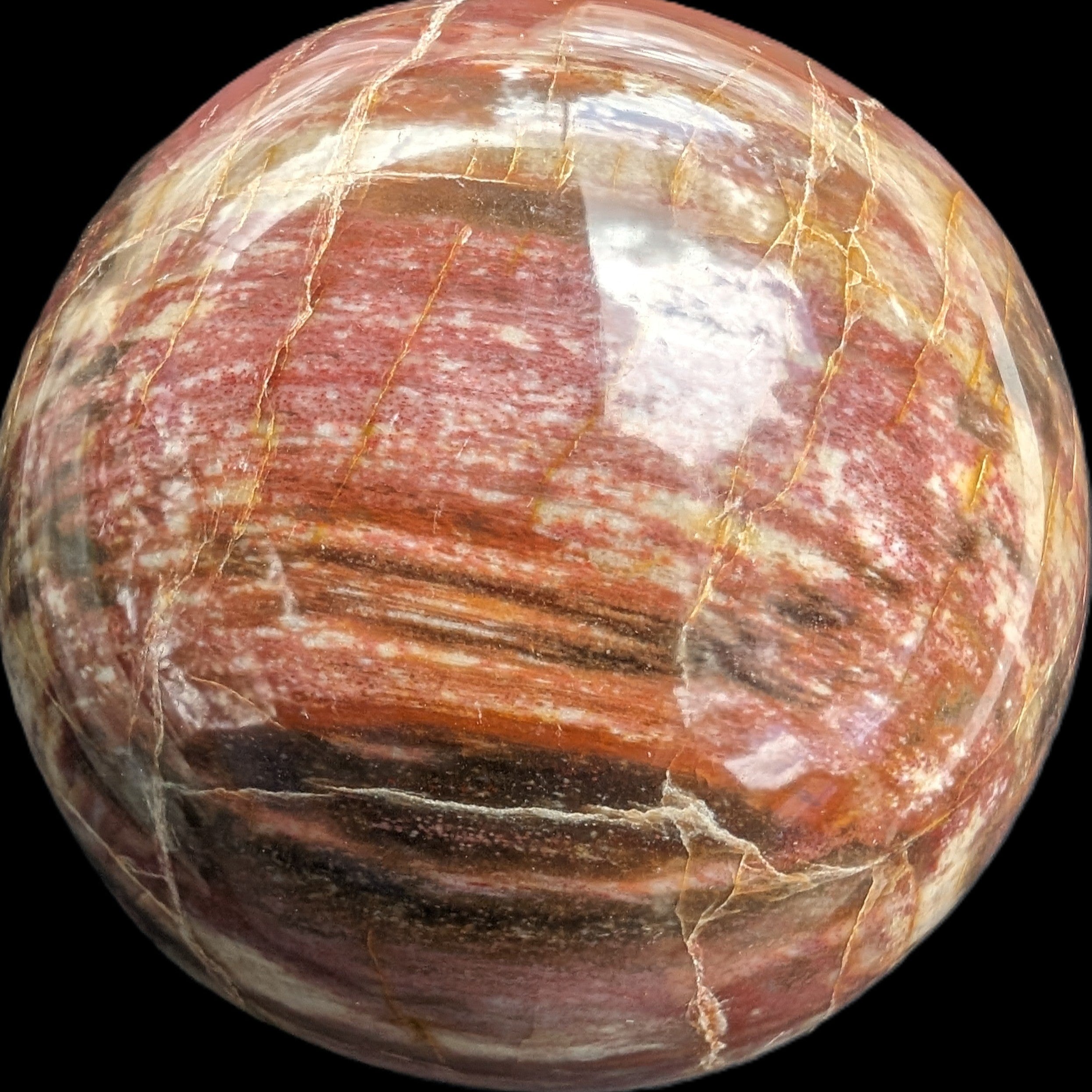 Petrified Wood Redwood sphere 69mm 462g in sunlight - Rocks and Things Store