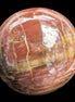 Petrified Wood Redwood sphere 69mm 462g in sunlight - Rocks and Things Store