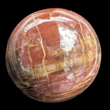Petrified Wood Redwood sphere 69mm 462g in sunlight - Rocks and Things Store