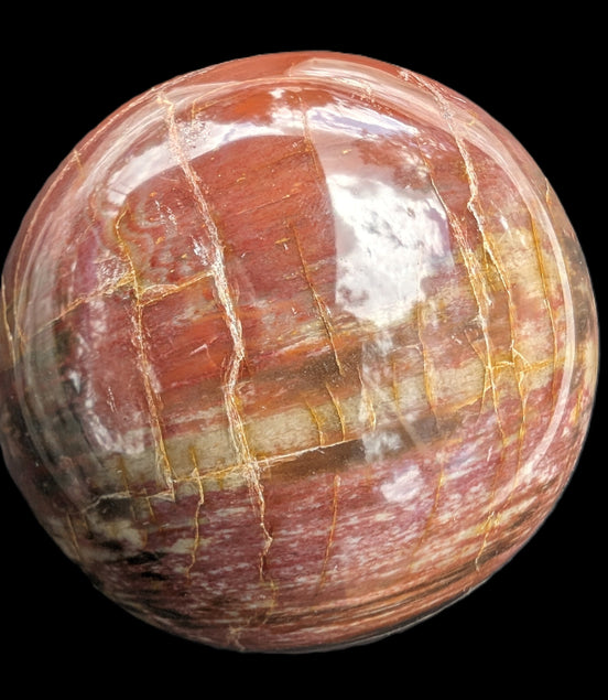 Petrified Wood Redwood sphere 69mm 462g in sunlight - Rocks and Things Store