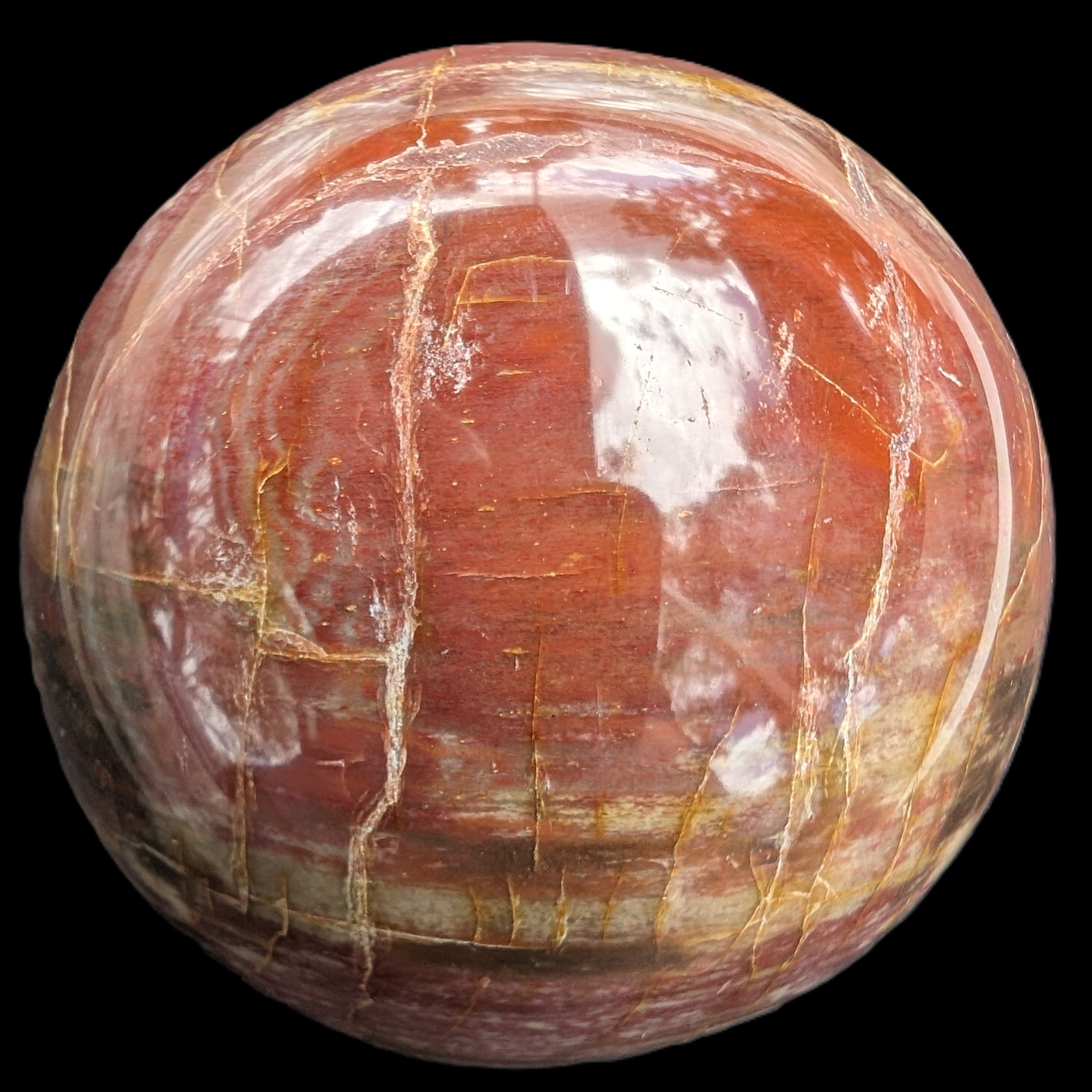 Petrified Wood Redwood sphere 69mm 462g in sunlight - Rocks and Things Store