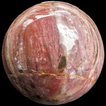 Petrified Wood Redwood sphere 69mm 462g in sunlight - Rocks and Things Store