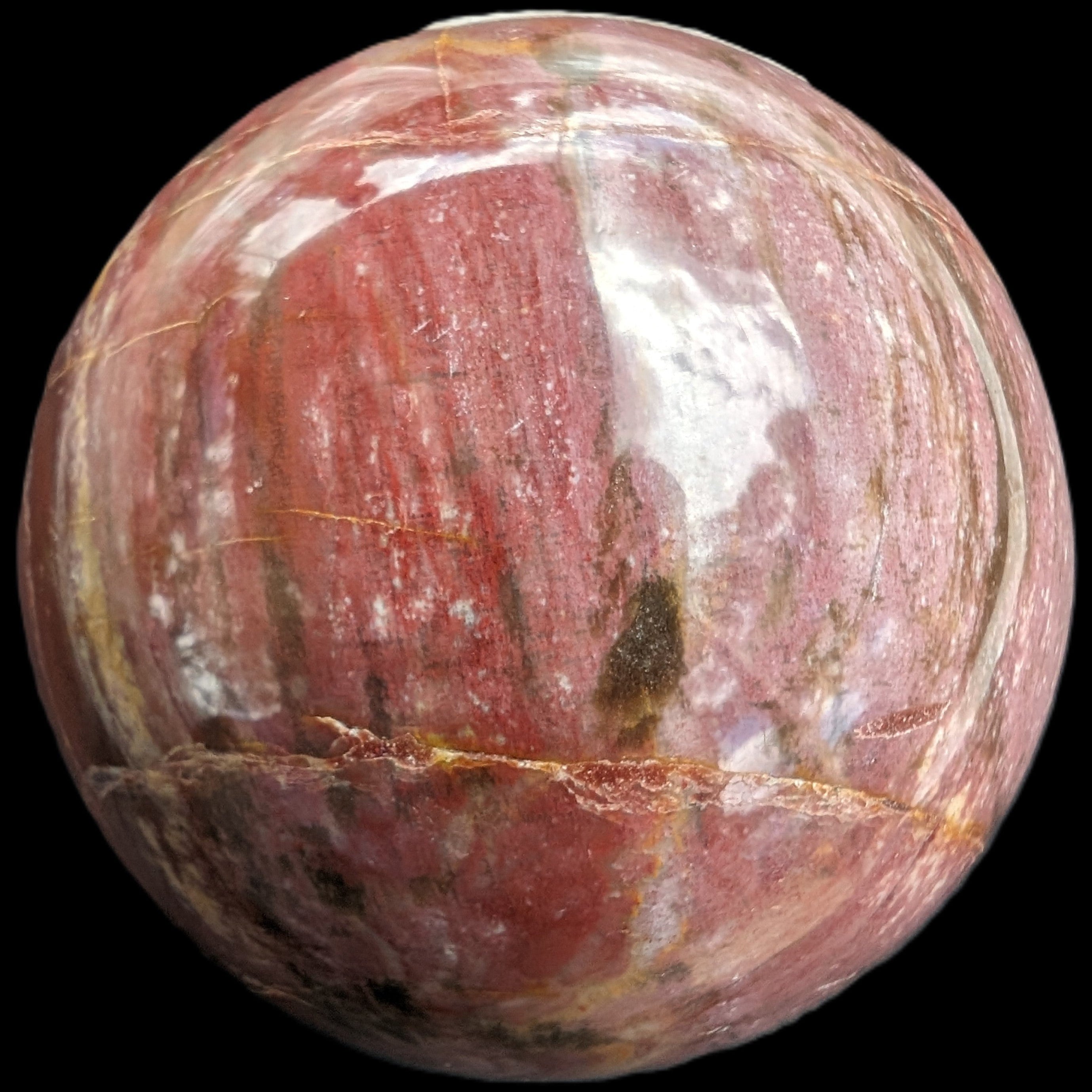 Petrified Wood Redwood sphere 69mm 462g in sunlight - Rocks and Things Store