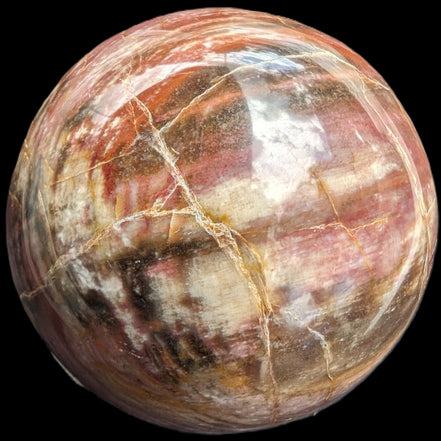 Petrified Wood Redwood sphere 69mm 462g in sunlight - Rocks and Things Store