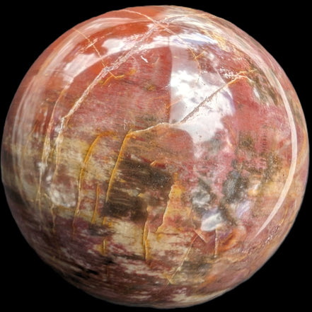 Petrified Wood Redwood sphere 69mm 462g in sunlight - Rocks and Things Store