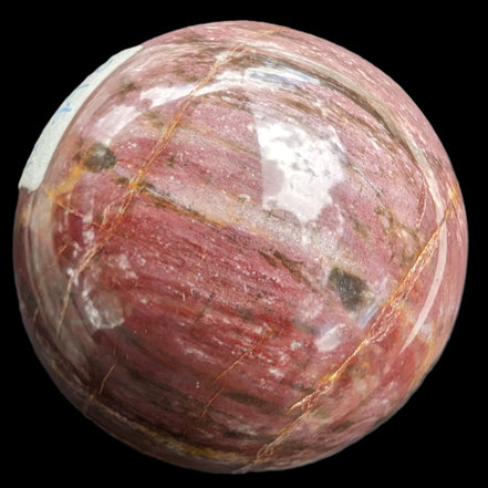 Petrified Wood Redwood sphere 69mm 462g in sunlight - Rocks and Things Store