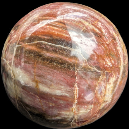 Petrified Wood Redwood sphere 69mm 462g in sunlight - Rocks and Things Store