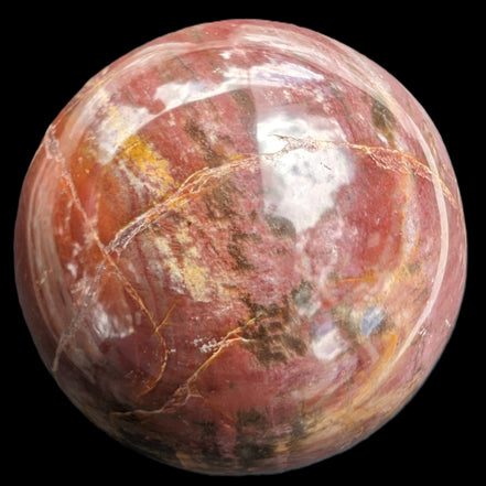 Petrified Wood Redwood sphere 69mm 462g in sunlight - Rocks and Things Store