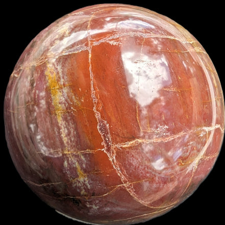 Petrified Wood Redwood sphere 69mm 462g in sunlight - Rocks and Things Store