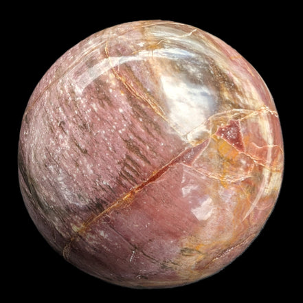 Petrified Wood Redwood sphere 69mm 462g in sunlight - Rocks and Things Store