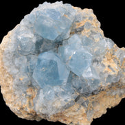 Celestite large geode 2160g Rocks and Things