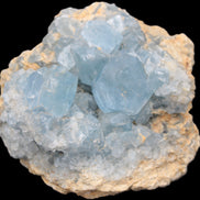 Celestite large geode 2160g Rocks and Things