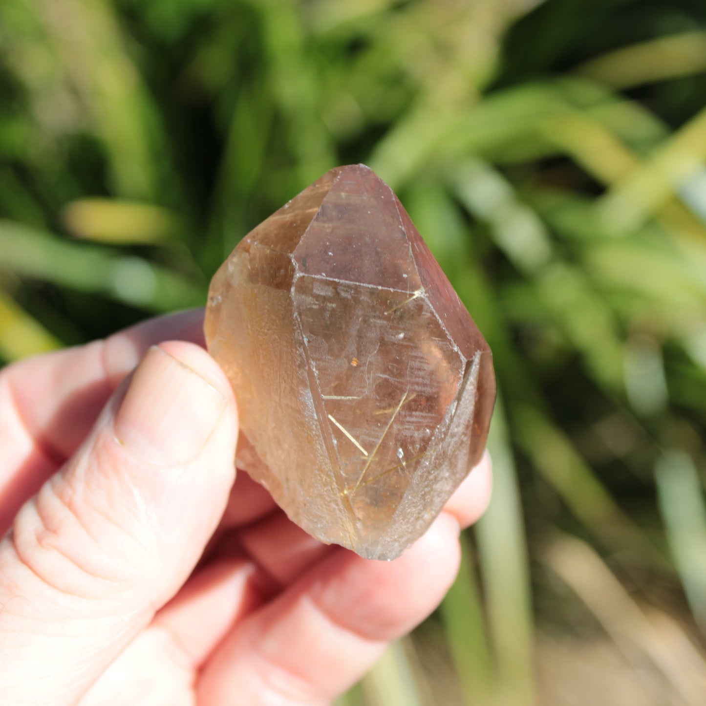 Golden Hair Rutilated Quartz crystal 65g Rocks and Things