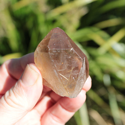 Golden Hair Rutilated Quartz crystal 65g Rocks and Things