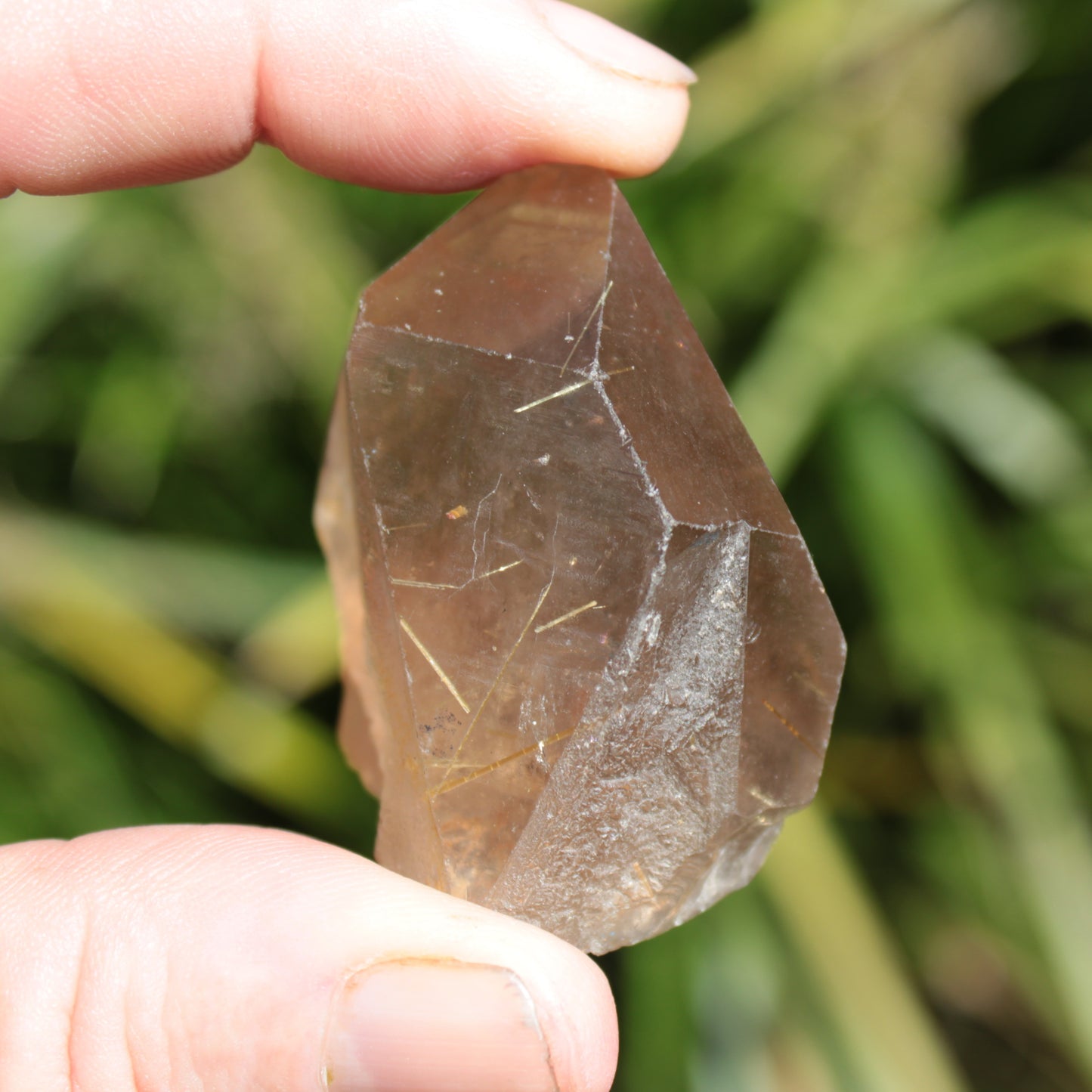 Golden Hair Rutilated Quartz crystal 65g Rocks and Things