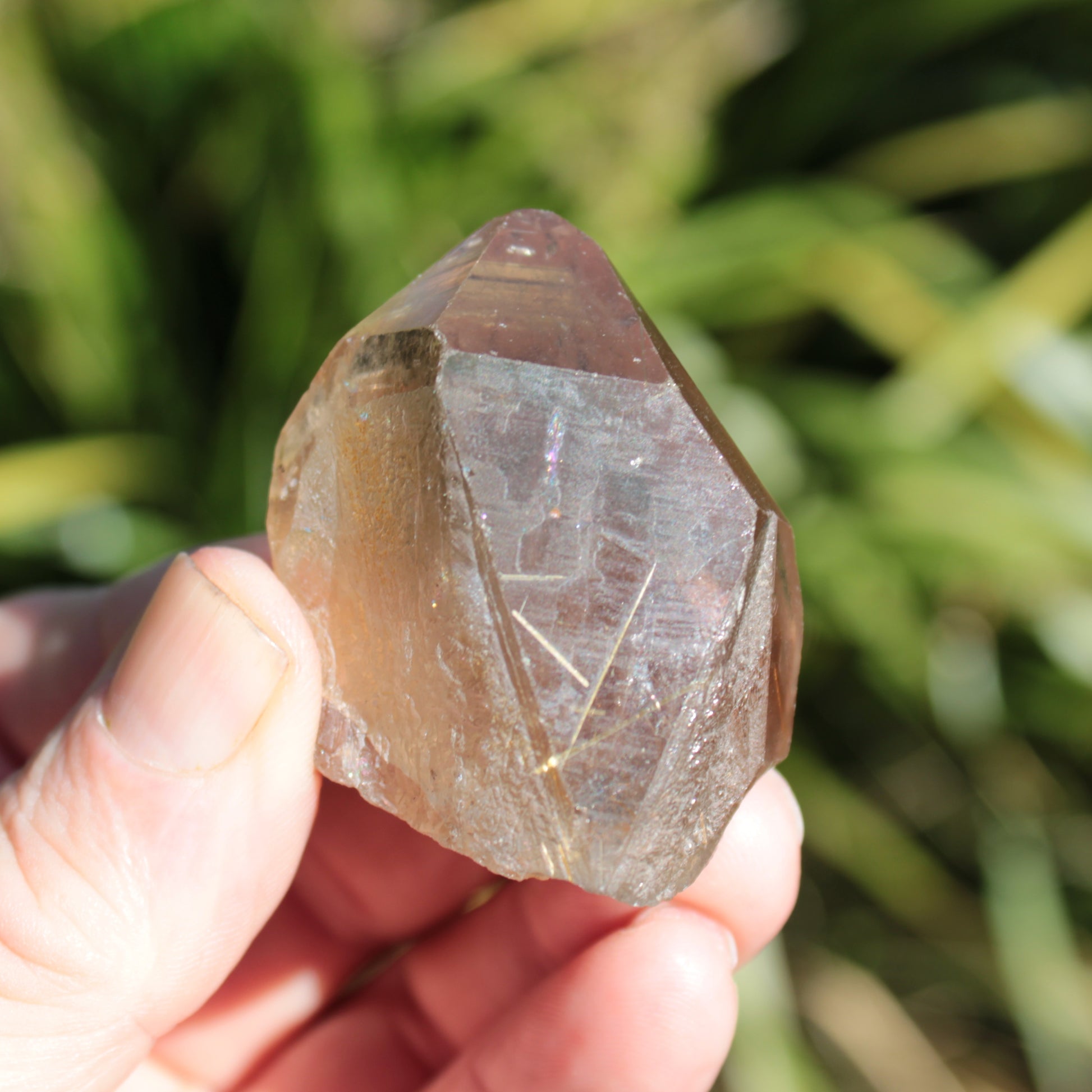 Golden Hair Rutilated Quartz crystal 65g Rocks and Things