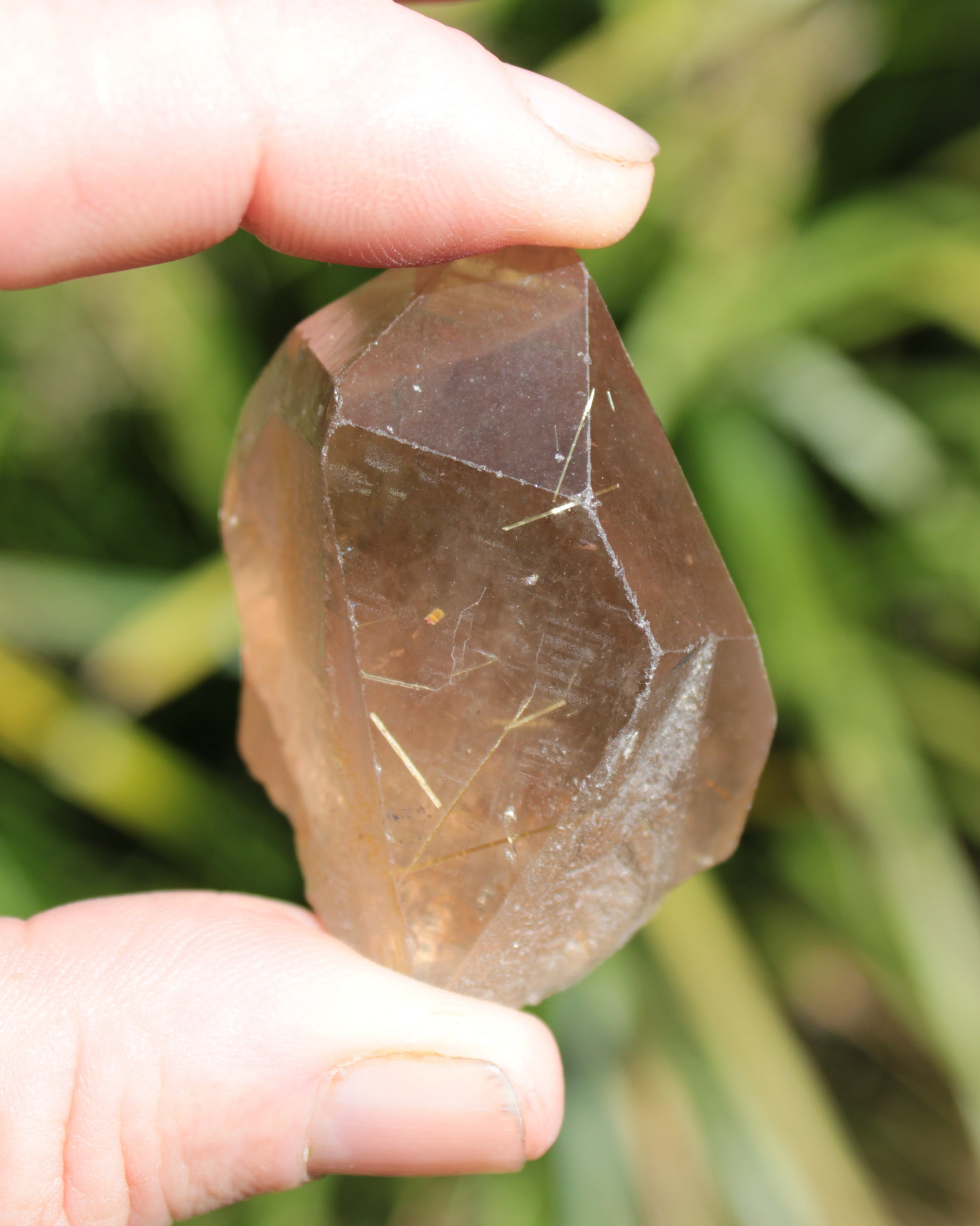 Golden Hair Rutilated Quartz crystal 65g Rocks and Things