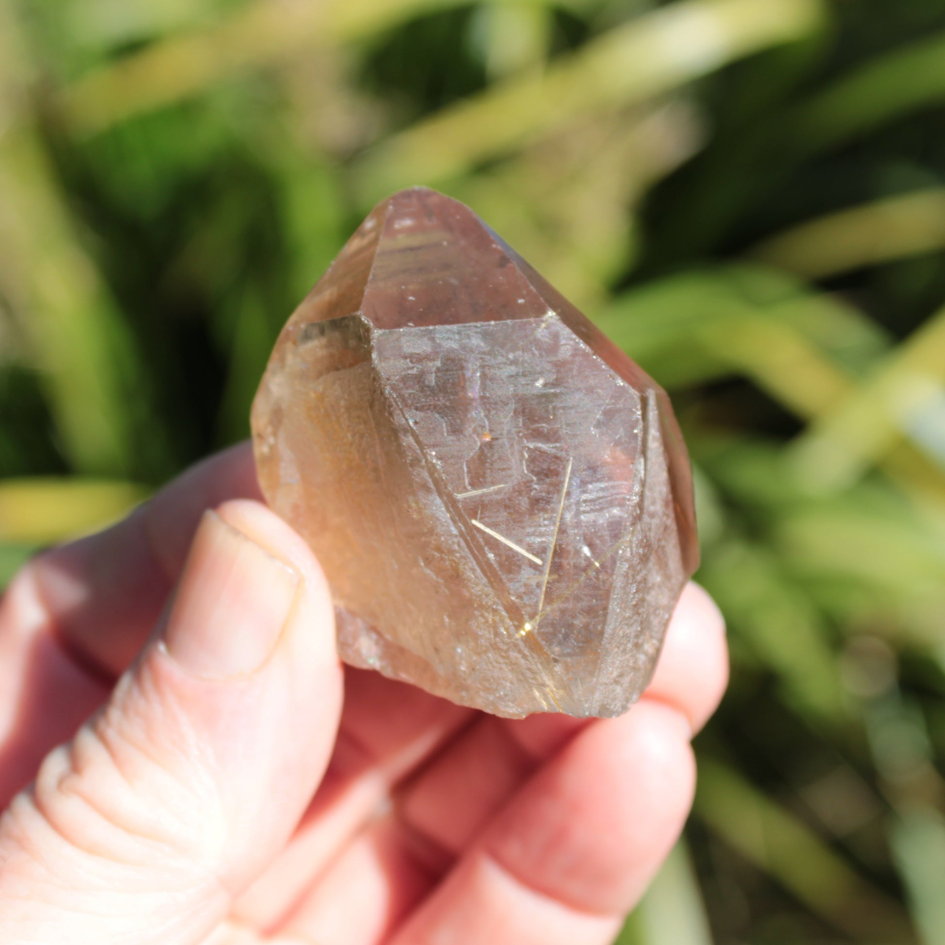 Golden Hair Rutilated Quartz crystal 65g Rocks and Things