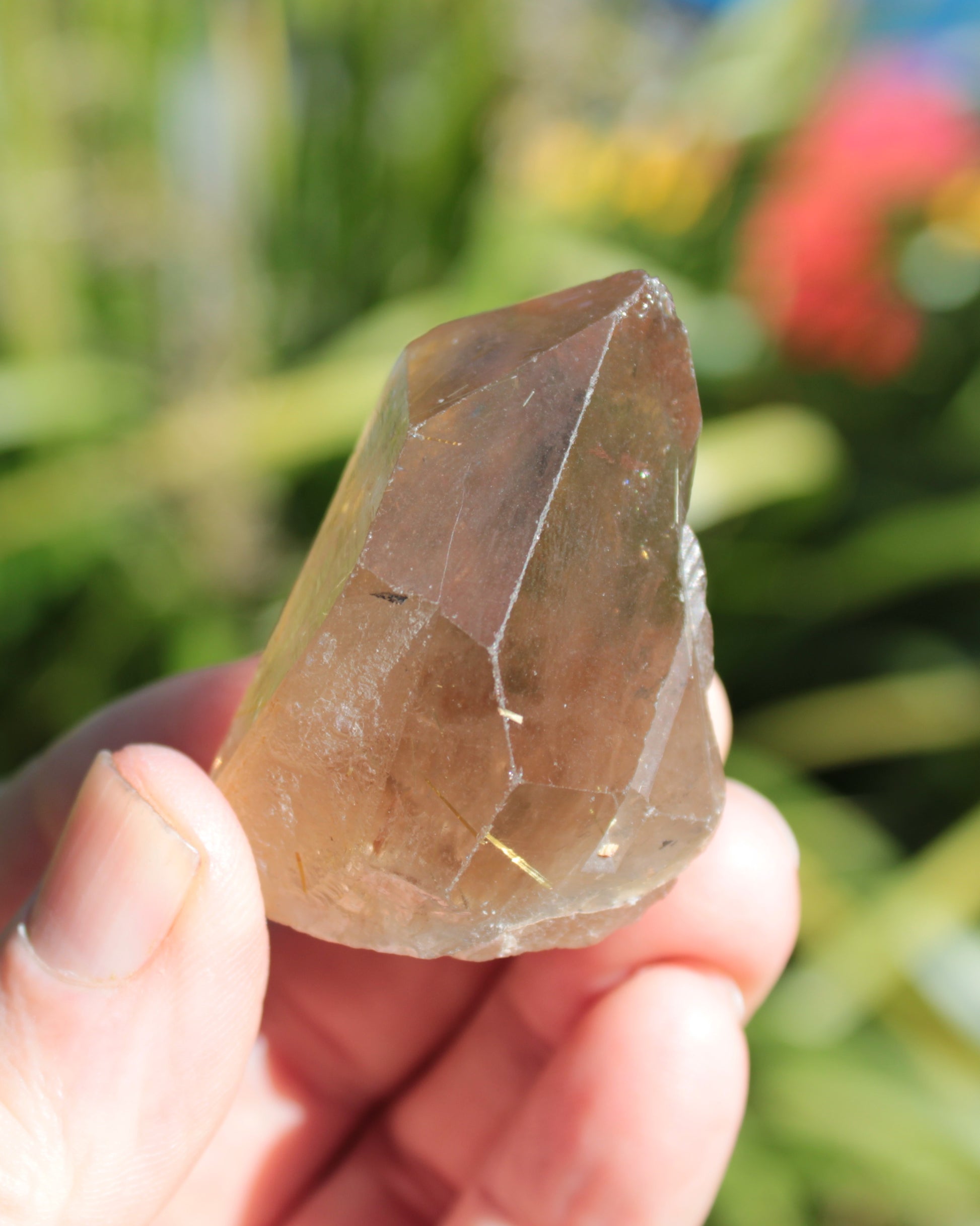 Golden Hair Rutilated Quartz crystal 65g Rocks and Things