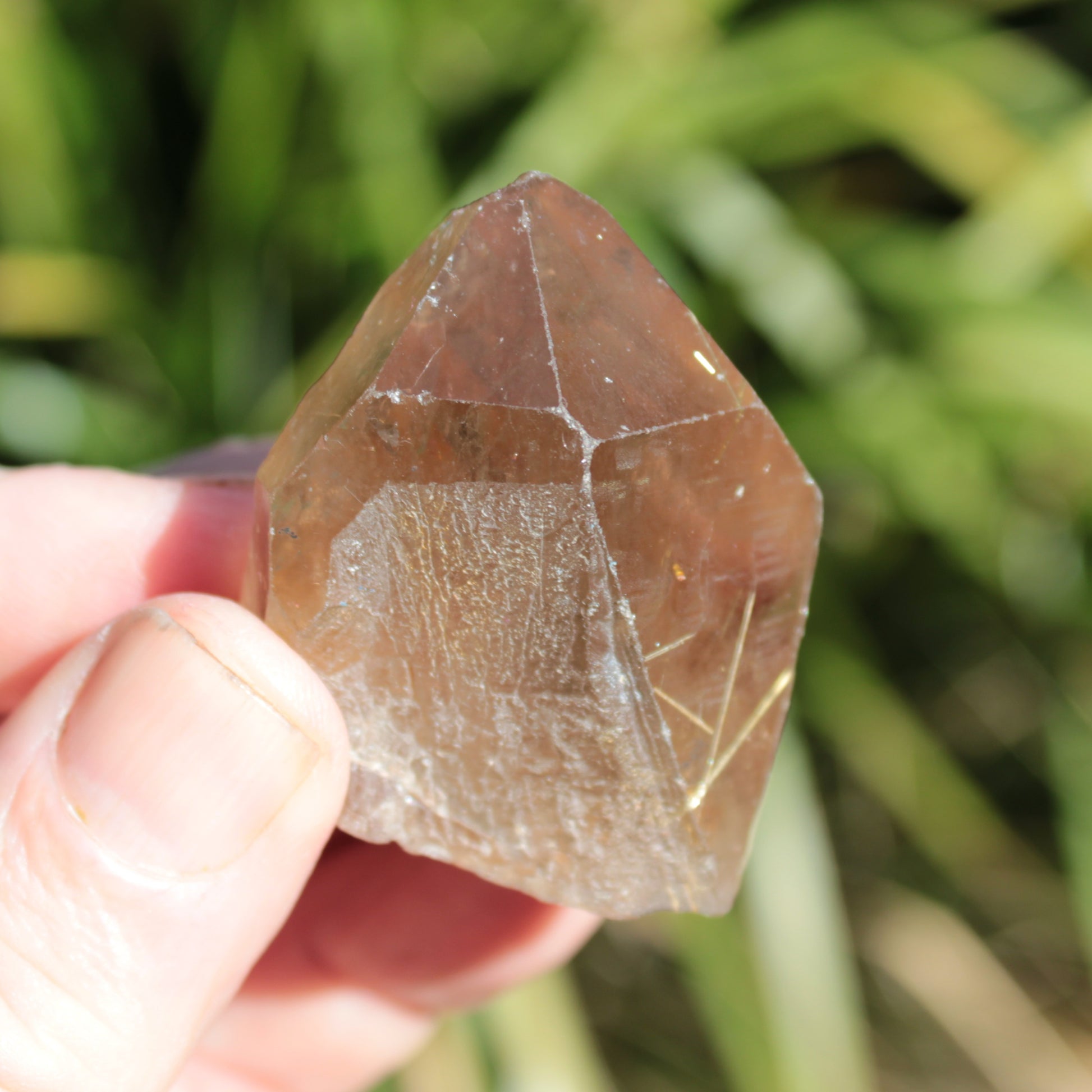 Golden Hair Rutilated Quartz crystal 65g Rocks and Things