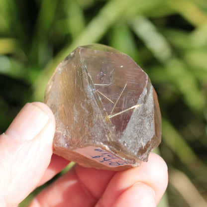 Golden Hair Rutilated Quartz crystal 65g Rocks and Things