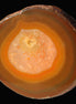 Agate banded slice 367g Rocks and Things