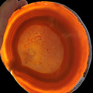 Agate banded slice 367g Rocks and Things