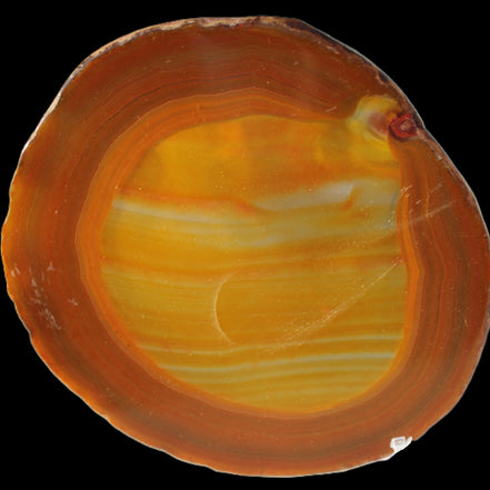 Agate banded slice 367g Rocks and Things