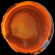 Agate banded slice 367g Rocks and Things